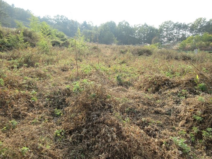 【 본 건 기호 14) 】