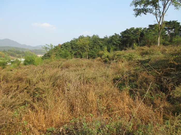 【 본 건 기호 16) 】