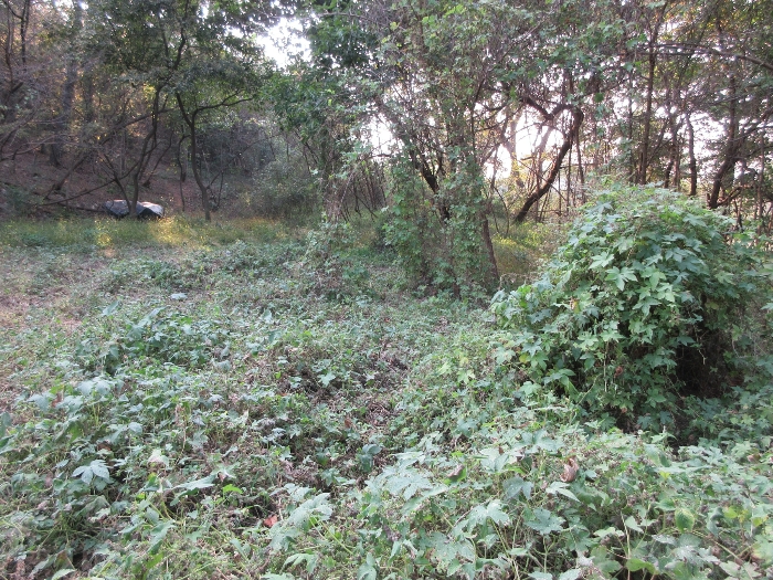 【 본 건 기호 17), 18) 】