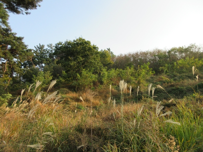 【 본 건 기호 19) - 21) 】