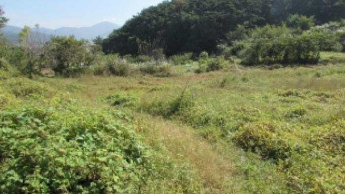 1번 물건 묵답 전경