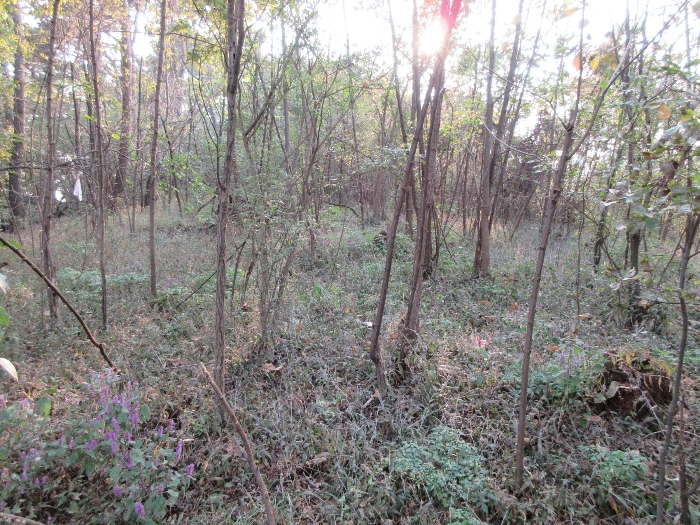 【 본 건 기호 25) 】