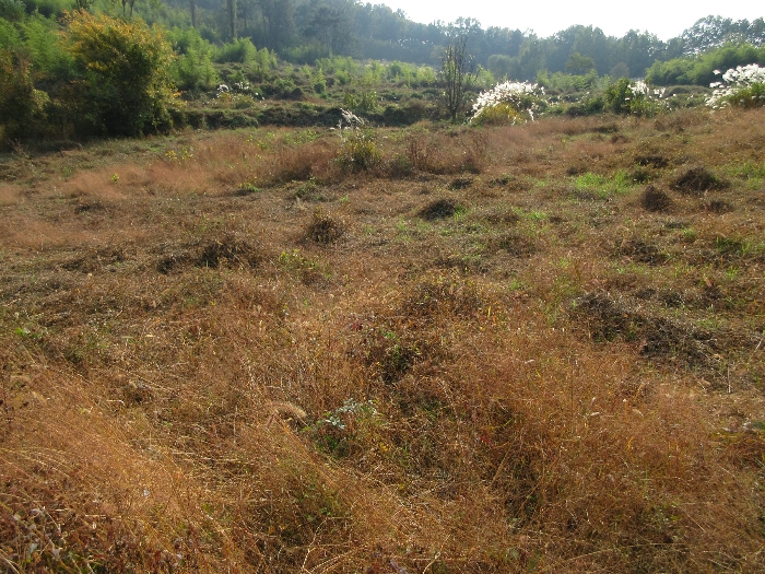 【 본 건 기호 1) 】