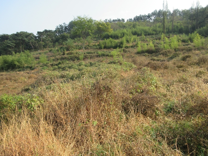 【 본 건 기호 3) 】