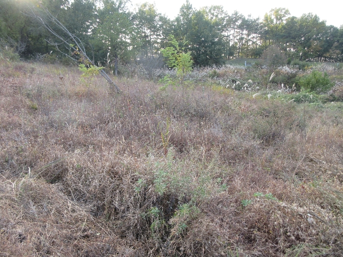 【 본 건 기호 4) 】