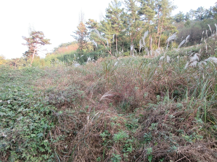 【 본 건 기호 6) 】