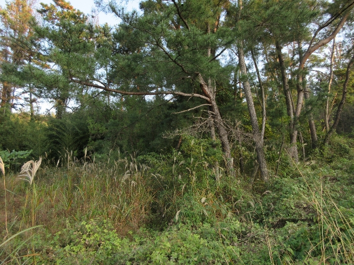 【 본 건 기호 9) 】