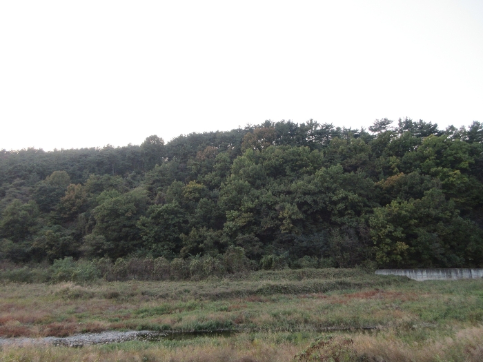 【 본 건 기호 45) 】