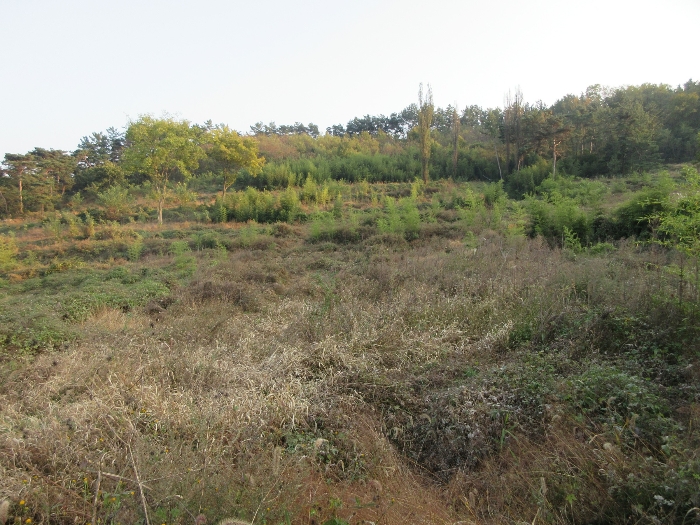 【 본 건 및 주위 환경 】