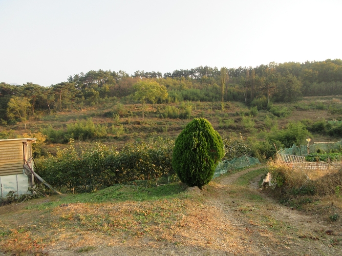 【 본 건 및 주위 환경 】