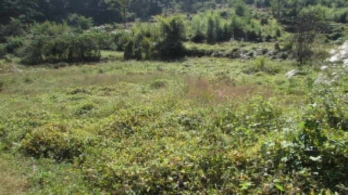 1번 물건 묵답 전경