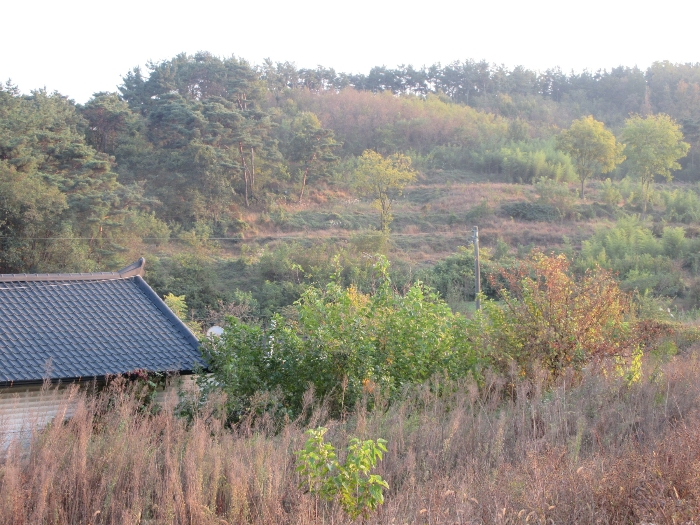 【 본 건 및 주위 환경 】