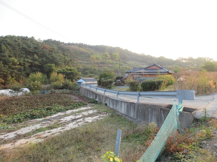 【 본 건 및 주위 환경 】