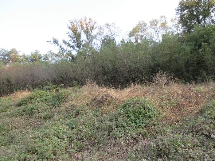 【 본 건 기호 39) 】