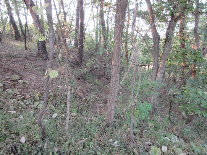 【 본 건 기호 40) 】