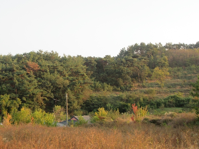 【 본 건 기호 42) 】