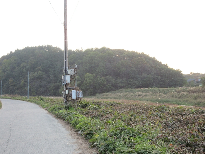 【 본 건 기호 43) 】