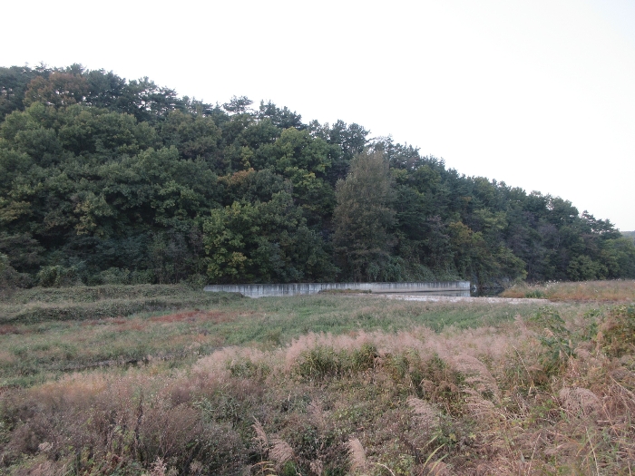 【 본 건 기호 44) 】