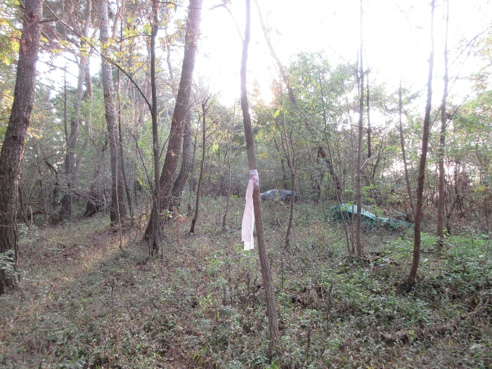 【 본 건 기호 44) 】