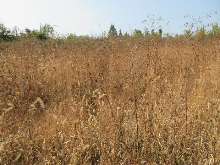 【 본 건 기호 27) 】