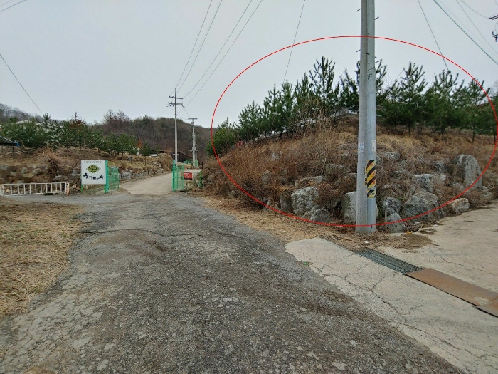 대상물건 진입로 및 조경수 전경