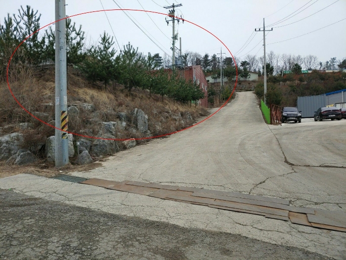 대상물건의 서측 도로 및 조경수 전경