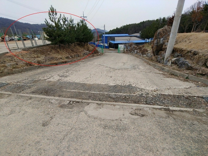 대상물건의 진입로 및 조경수 전경