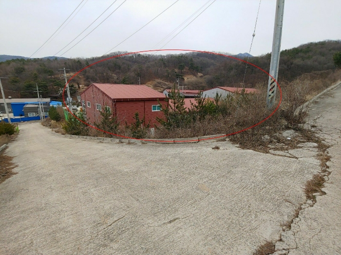 대상물건의 서측 도로 및 조경수 전경