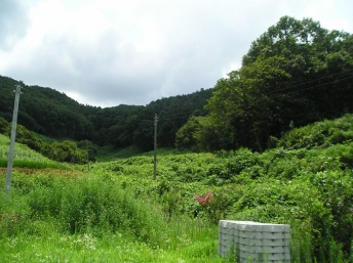 목록9,10번
