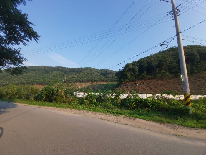 본건-전체전경