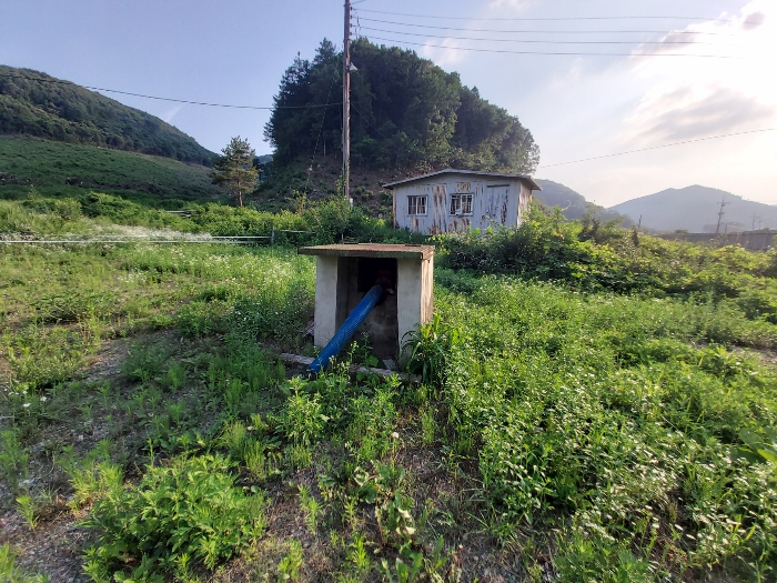 기호(8)
