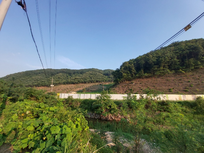 기호(1)-전경