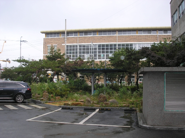 본건 지상 관상수 및 조경석