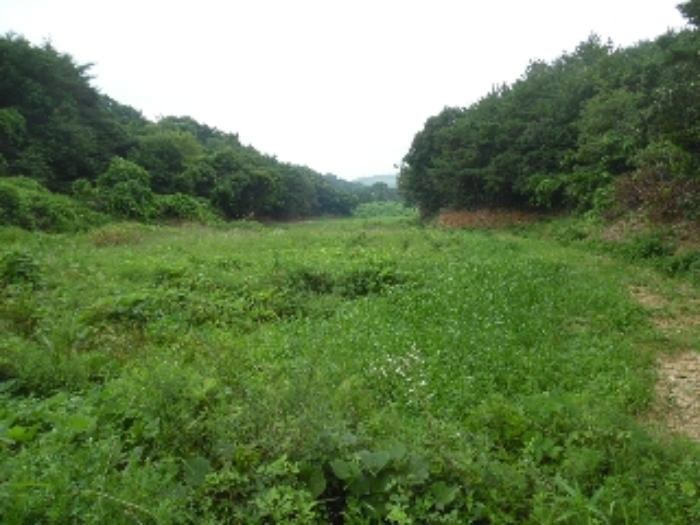 목록 7, 8의 북동측에서 본 모습