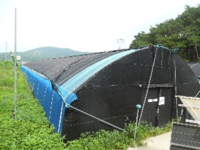 남동측에서 본 비닐하우스