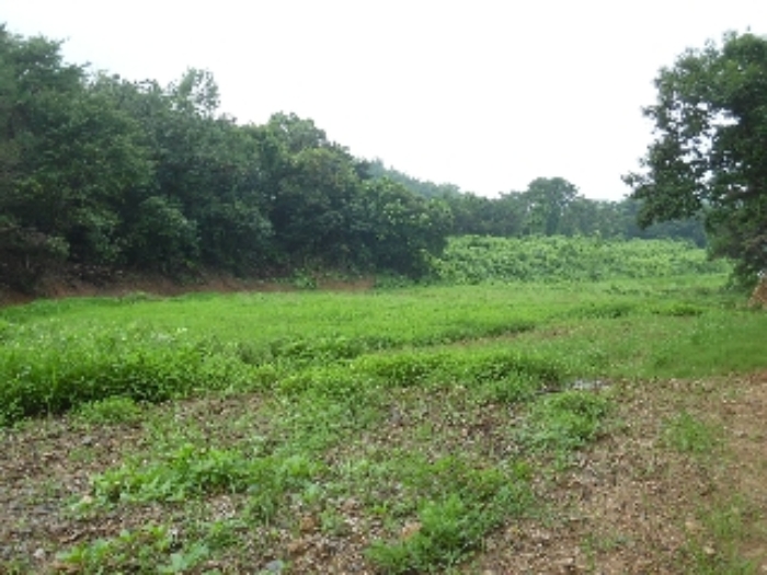 목록 8의 북동측에서 본 모습