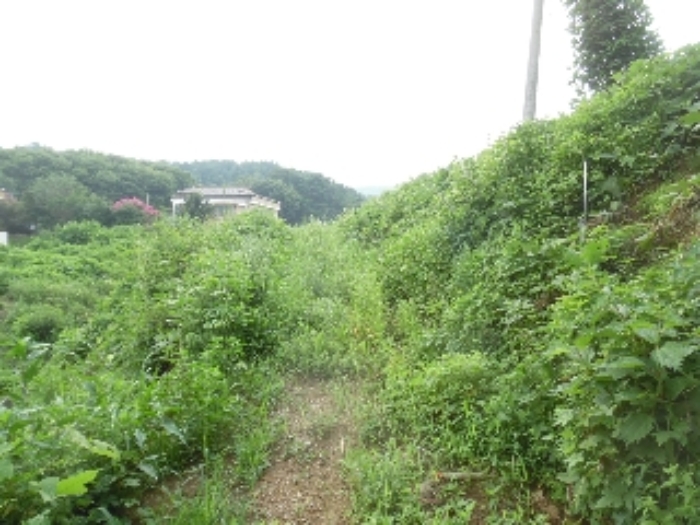 목록 6의 서측에서 본 모습