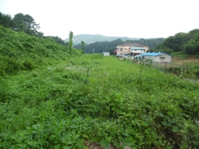 목록 6의 동측에서 본 모습