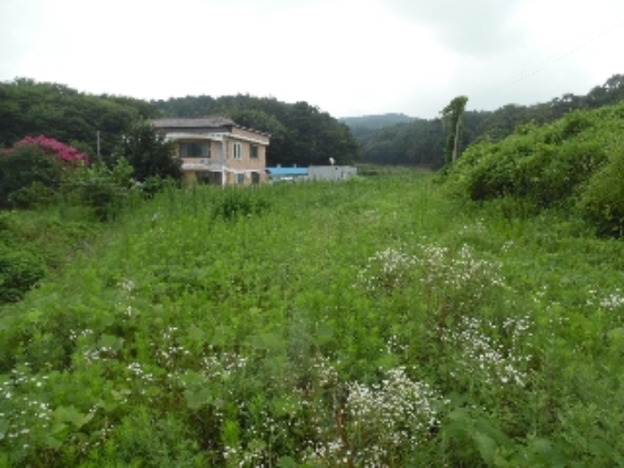 목록 6의 서측에서 동측부분 모습