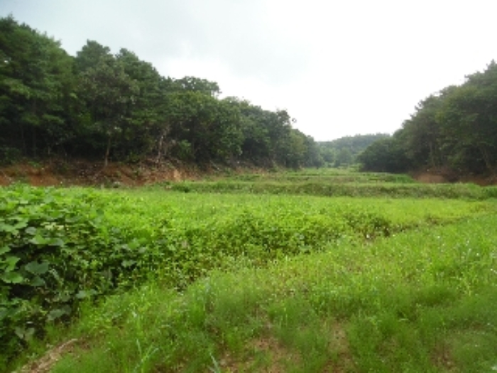 목록 8의 남서측에서 본 모습