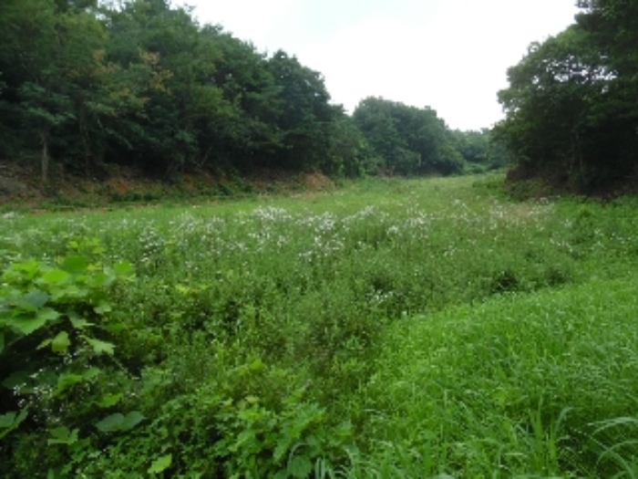 목록 7의 남서측에서 본 모습