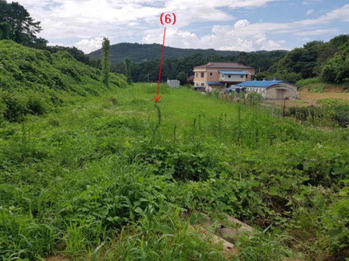 기호(6) 전경 - 본건 동측에서 촬영