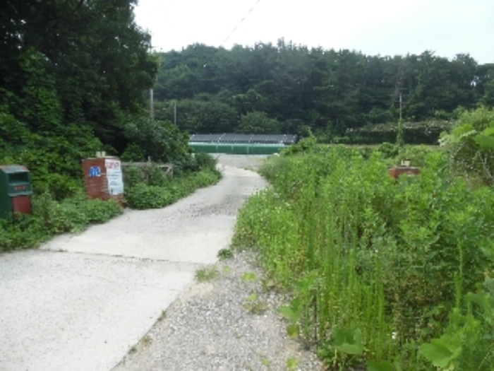 출입로에서 본 목록 4, 5