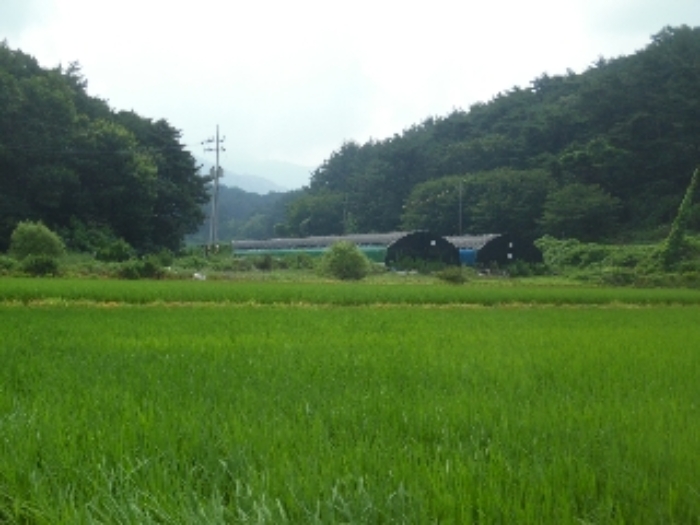 북서에서 본 목록 4, 5