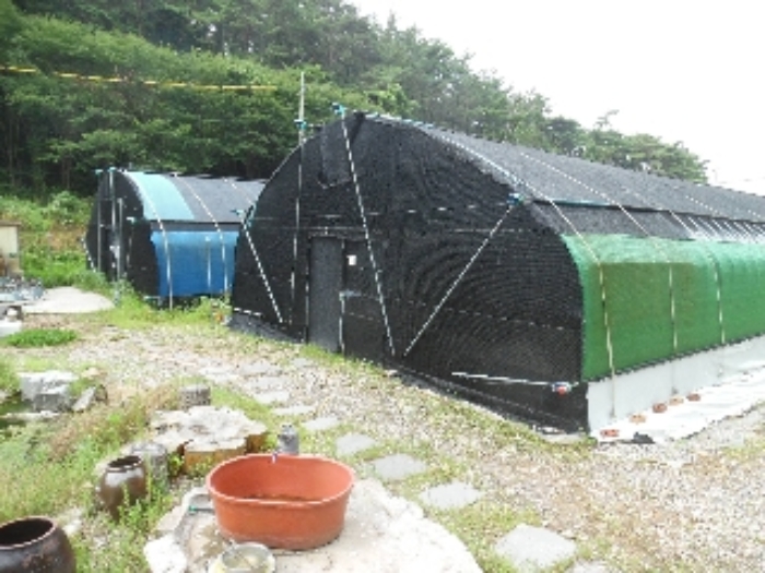북동측에서 본 비닐하우스 2개 동