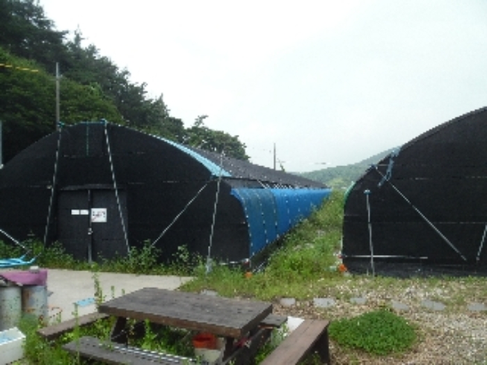 동측에서 본 비닐하우스