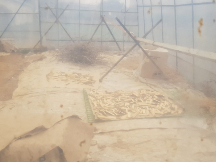 제시외 ㉡ 내부