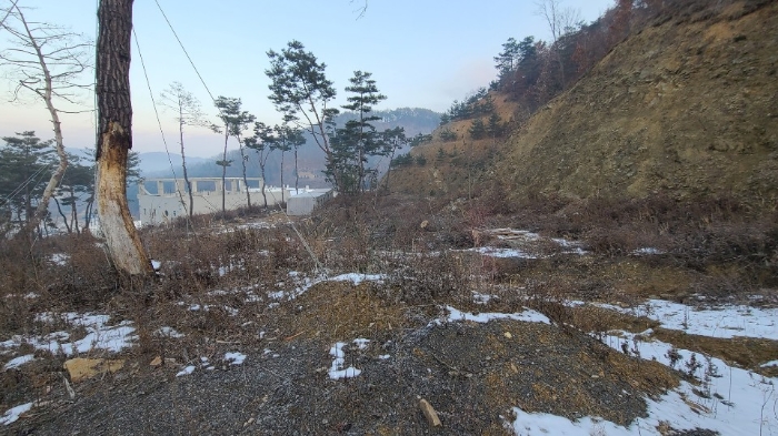 본건 기호(6) 전경 (남측에서 촬영)