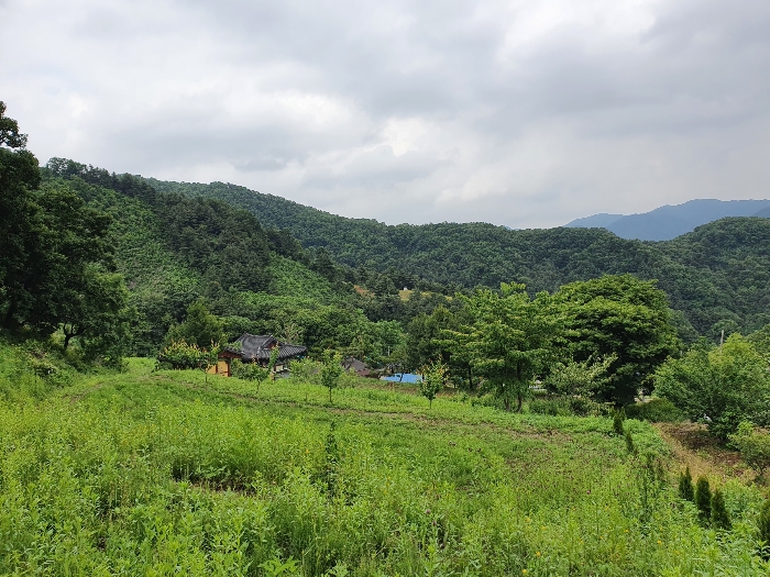 본건 전경(남서측 촬영)