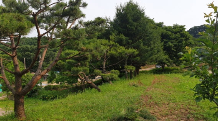 복록1.의 전경